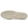 Chuck 70 EquinOX Low Top in Mason/Egret