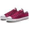 Chuck Taylor All Star Pro „Purple“