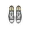 Chuck Taylor All Star Seasonal Color Low Top „Gray White“
