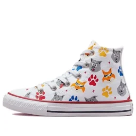 Chuck Taylor All Star „Weiß Grau“