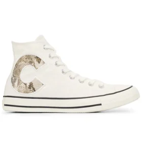 Chuck Taylor All Star Wild Logo High „Erget“