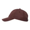 Converse x Rick Owens DRKSHDW Dad Cap „Brown“