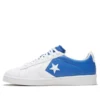 Hoops Pro Leather Blau/Weiß