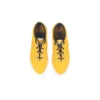 Skidgrip CVO „Gold Dart“